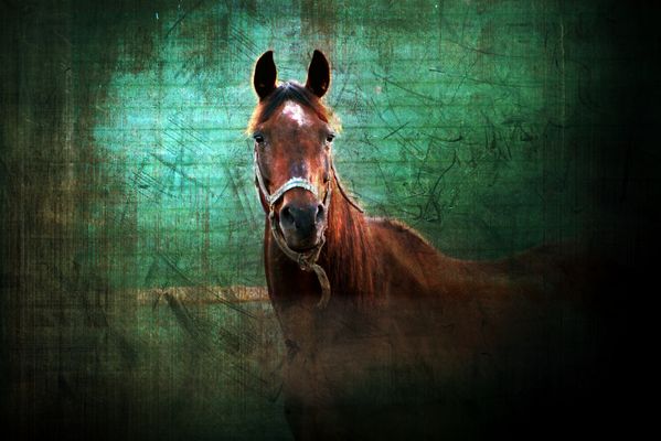 ... eyes being the window to the soul