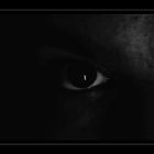 eyes in the dark