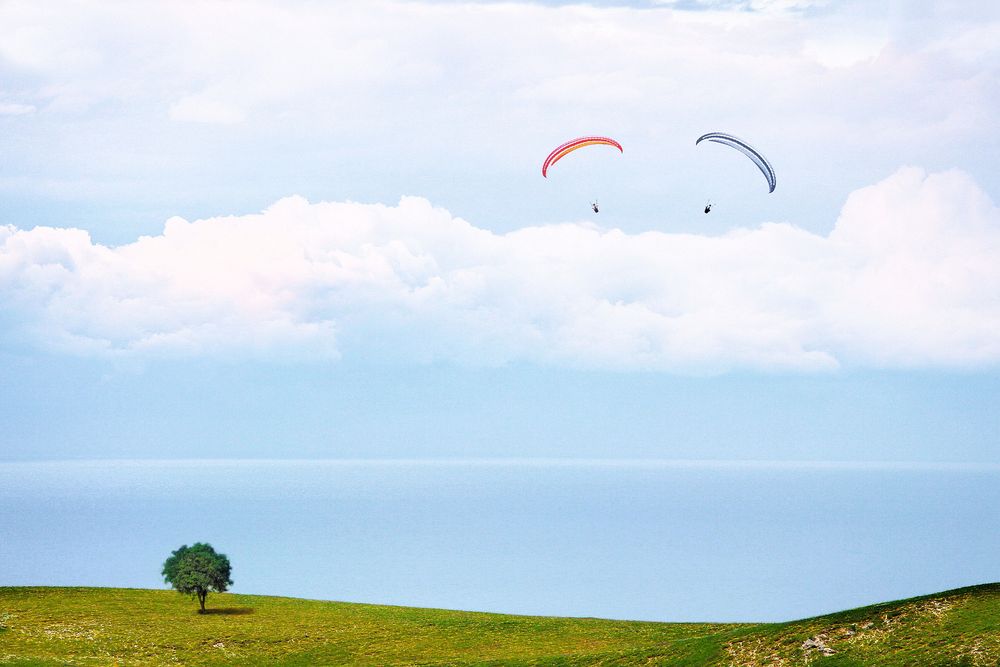 Eyes in the sky di Massimo Losacco 