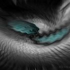 eyes of the dragon - Augen des Drachen