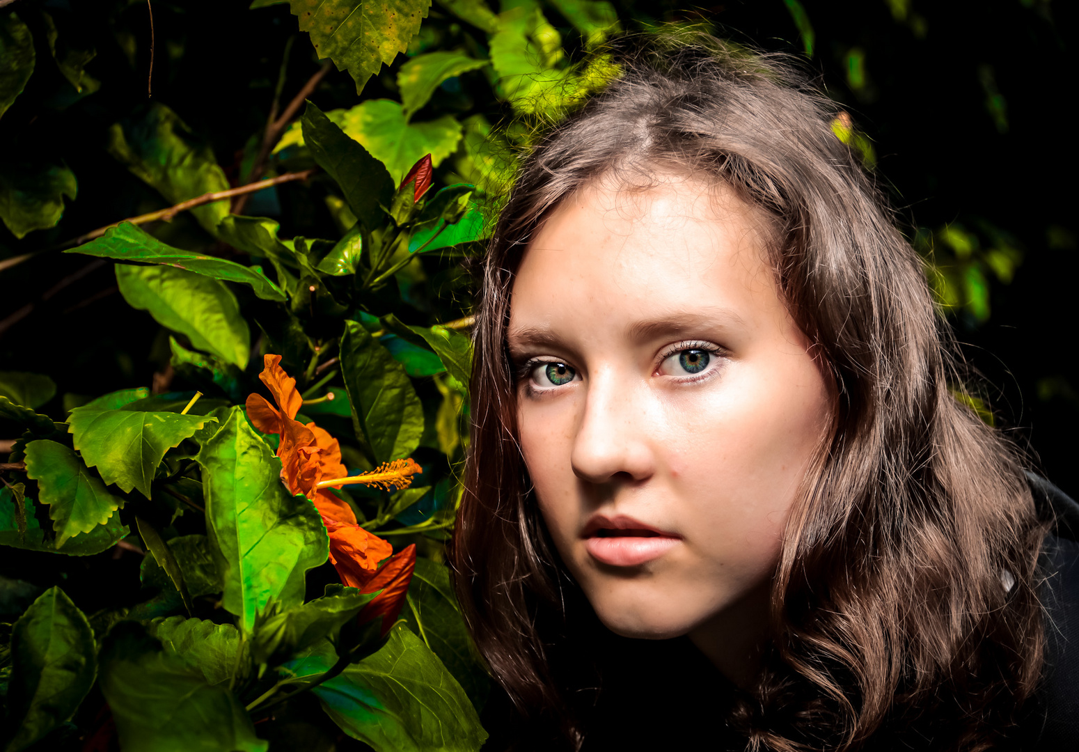 Eyes vs. Hibiskus 