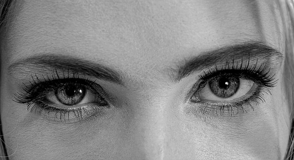 [ eyes without a face ] bw