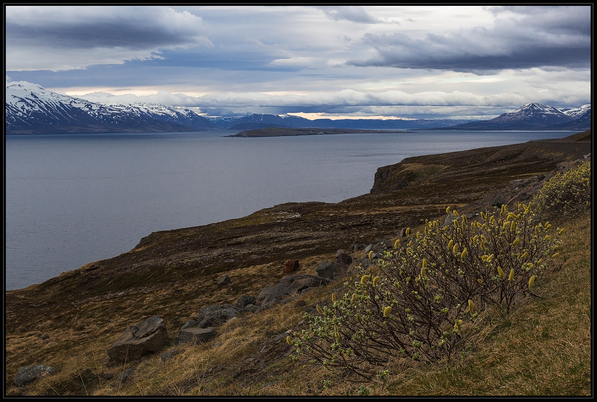 Eyjafjörður - Island #2