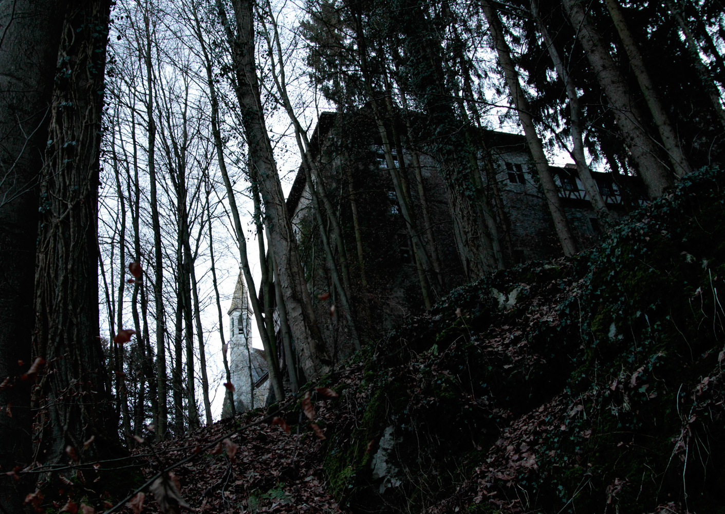 Eyneburg oder Emmaburg _ I_2013