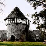 Eyneburg oder Emmaburg _ III_Hergenrath 2013