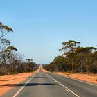 Eyre Highway, April 2009