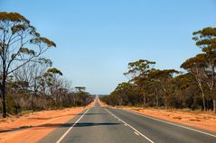 Eyre Highway, April 2009