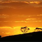 ****  Eyre Peninsula Sun Set ****