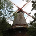 Eystruper Mühle 