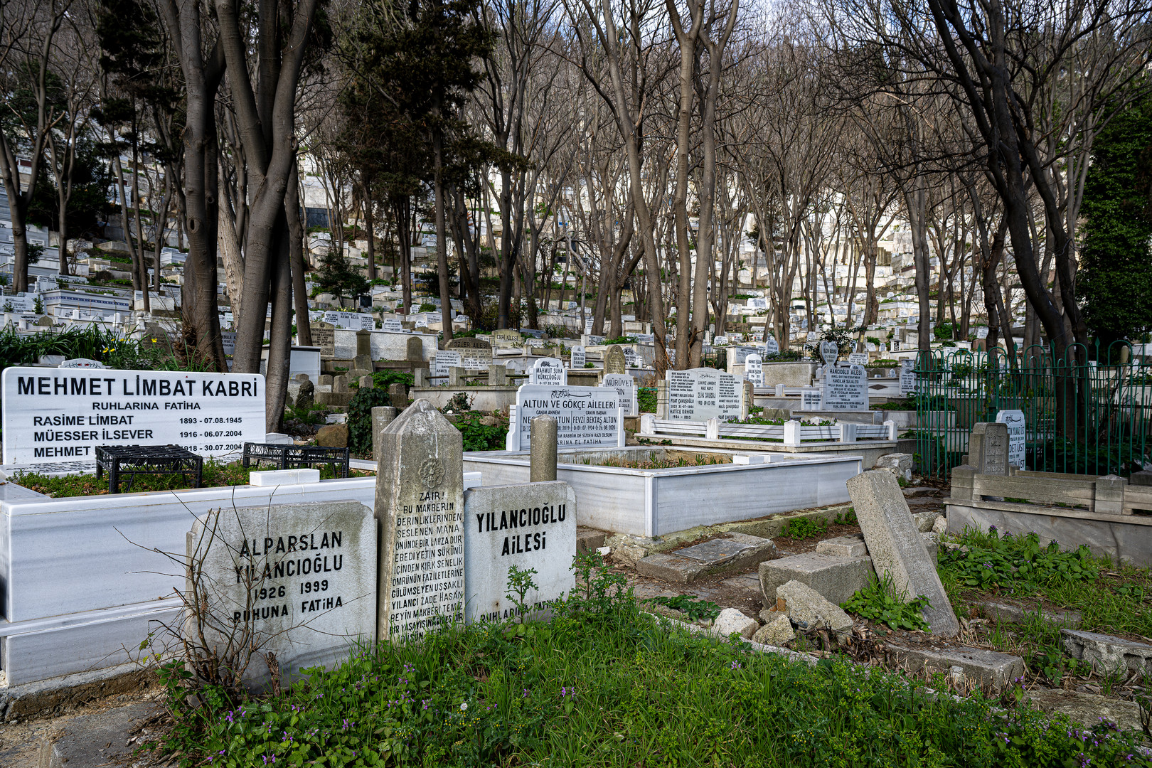 Eyüp Cemetery 01