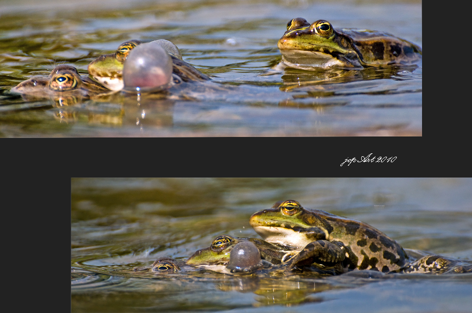 EYYYYYYYYYYYYYYY-Schwimmhäute weg, meine!!!!!!