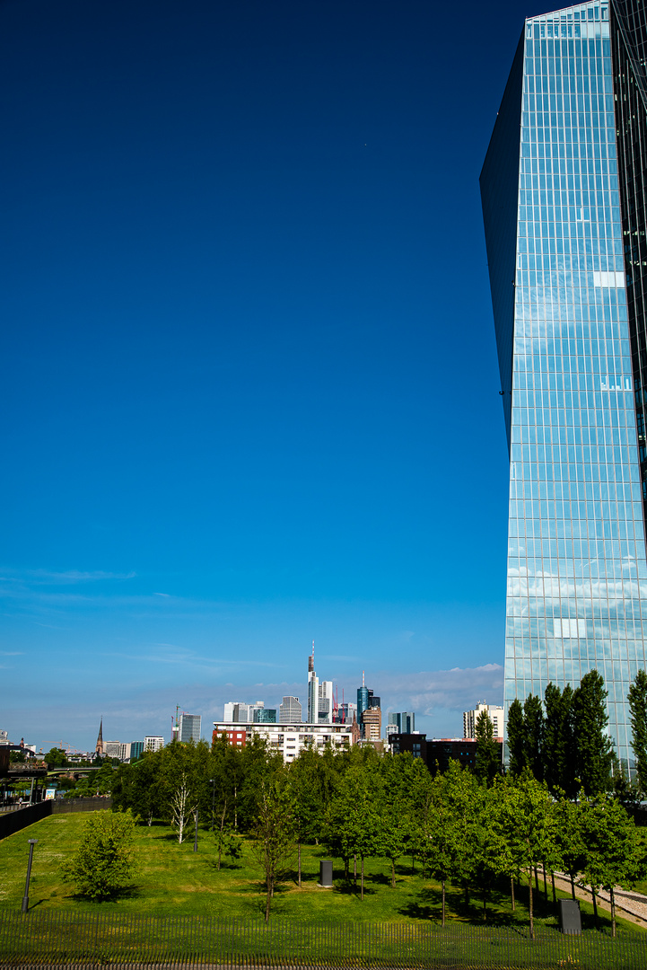 EZB und Skyline