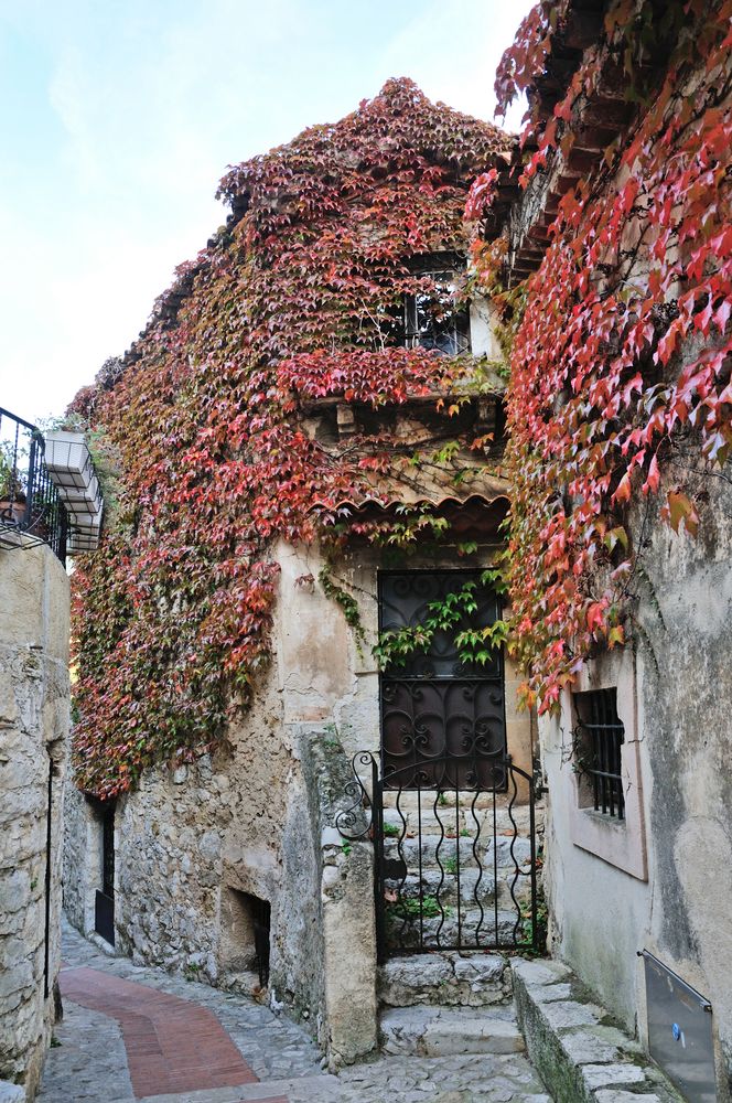 Eze im Herbst DSC_0205