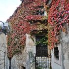 Eze im Herbst DSC_0205