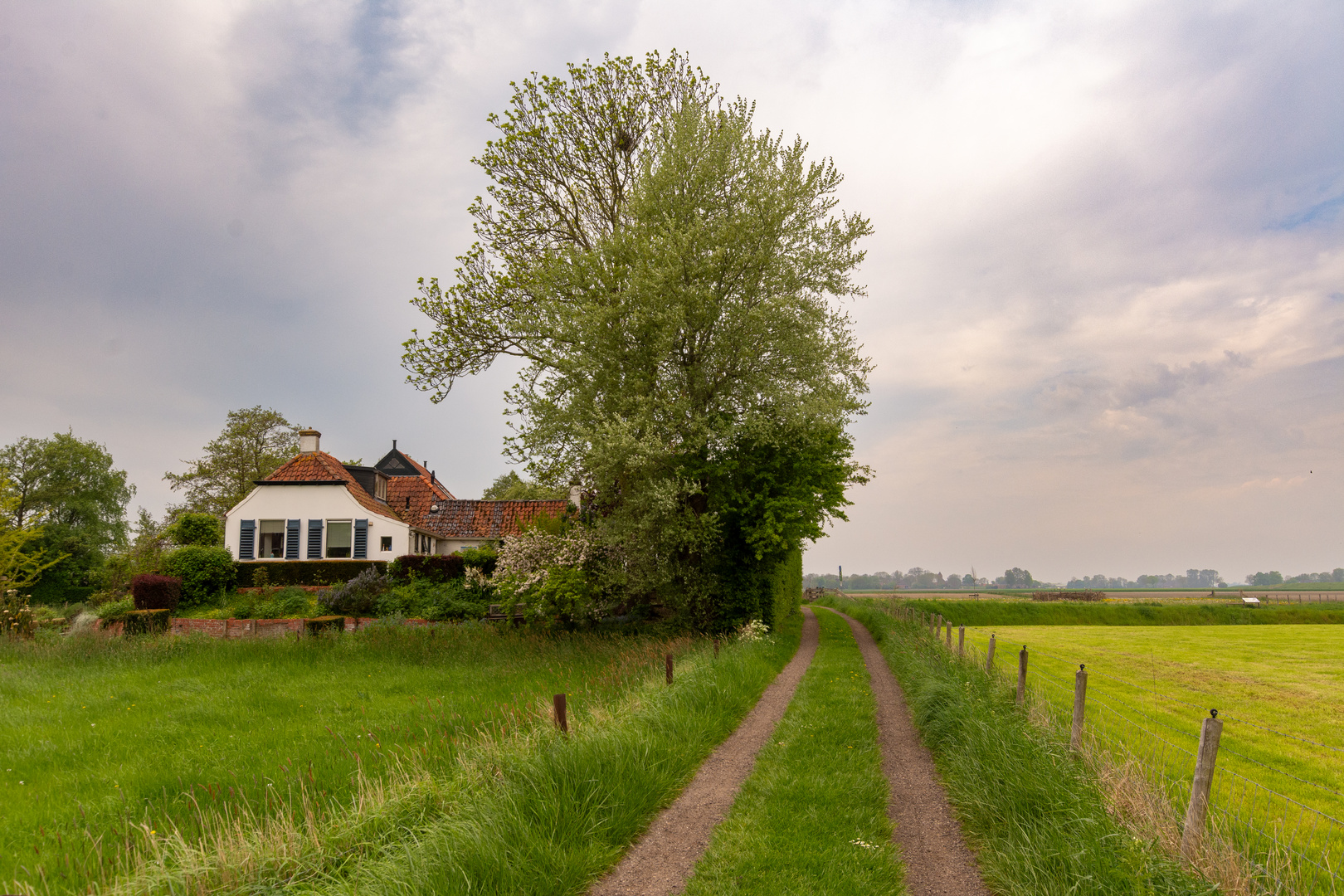 Ezinge - Torenstraat - 08