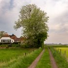 Ezinge - Torenstraat - 08