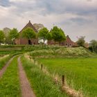 Ezinge - Torenstraat - 09