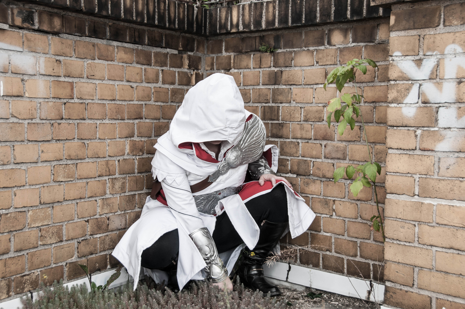 Ezio 9