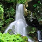 F 11 drücken Vollbild. Lichtenhainer Wasserfall  in der Sächsischen Schweiz.