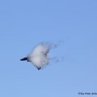 F-15 Strike Eagle