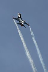 F-16 Demo Team (4)