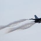 F-16 Fighting Falcon I