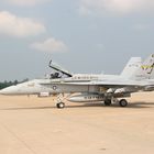 F 18 C VFA 87 Golden Warriors CAG Bird