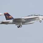 F 18 F VFA 11 Red Rippers CAG Bird