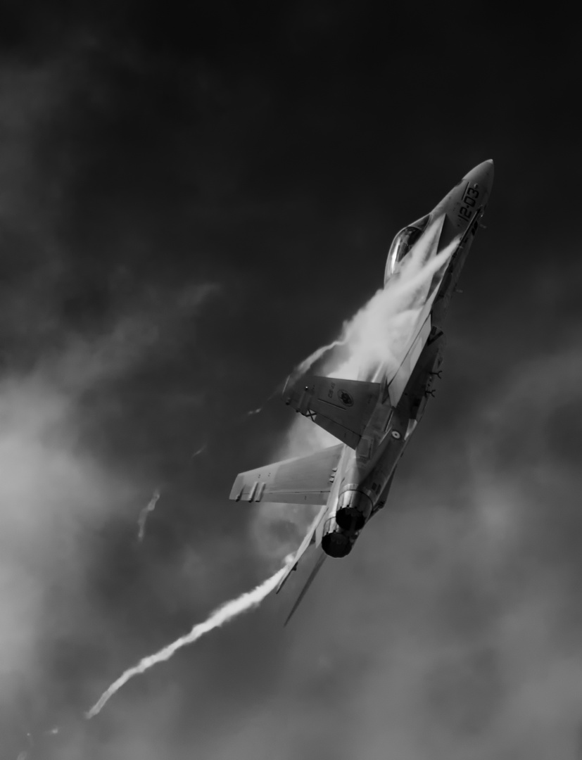 F-18 Hornet