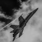 F-18 Hornet