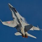 F-18 Hornet - der Schweizer Luftwaffe