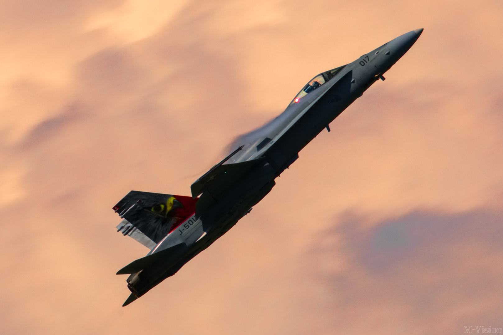 F-18 Hornet - Swiss Army