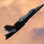 F-18 Hornet - Swiss Army