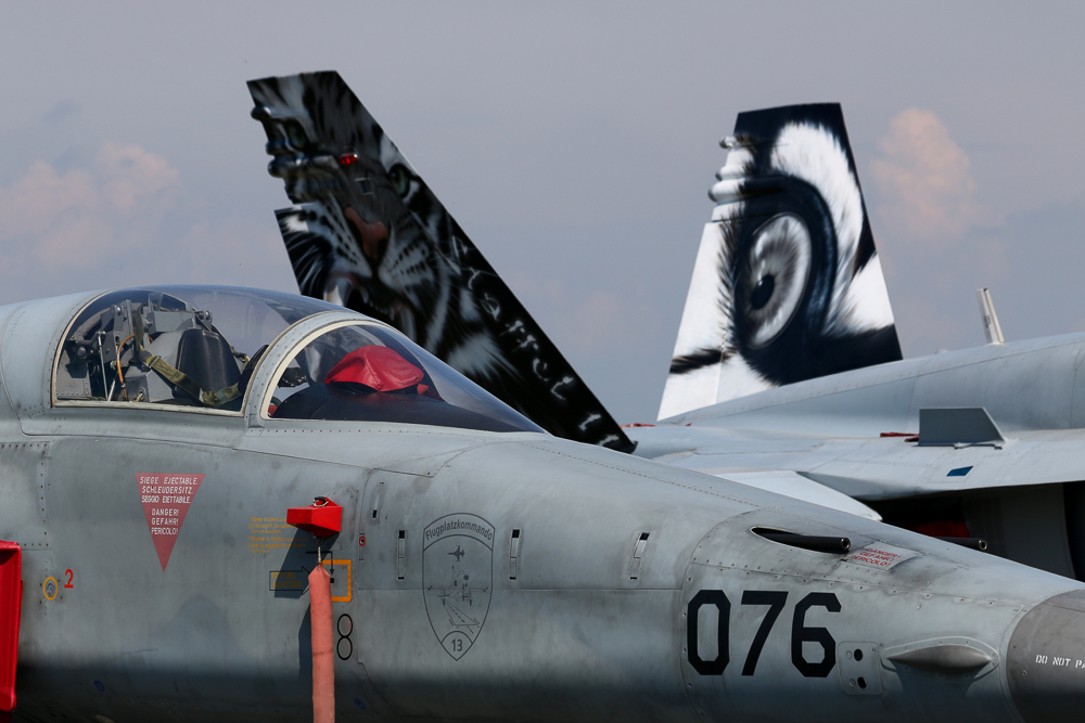F-18 und F-5