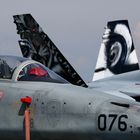 F-18 und F-5