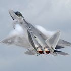 F-22A Raptor