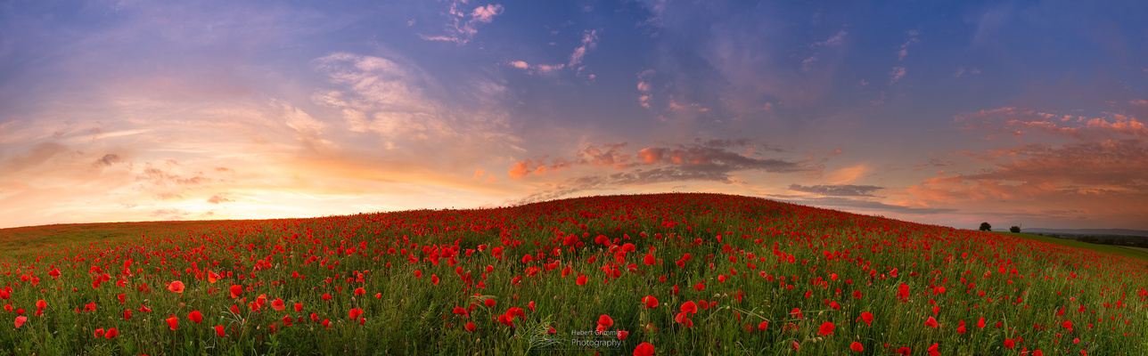 * * * F A R B - F L A S H * * * 