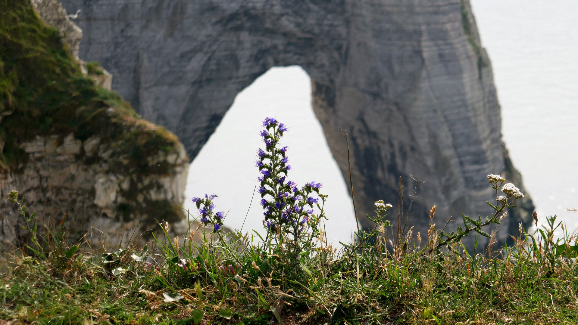 F-BE 85: Les falaises d´Etretat (3)