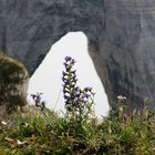 F-BE 85: Les falaises d´Etretat (3)