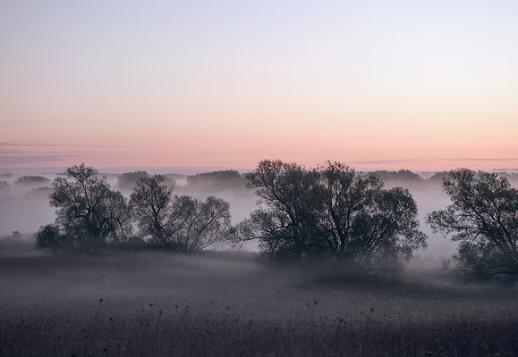 F e u c h t g e b i e t e