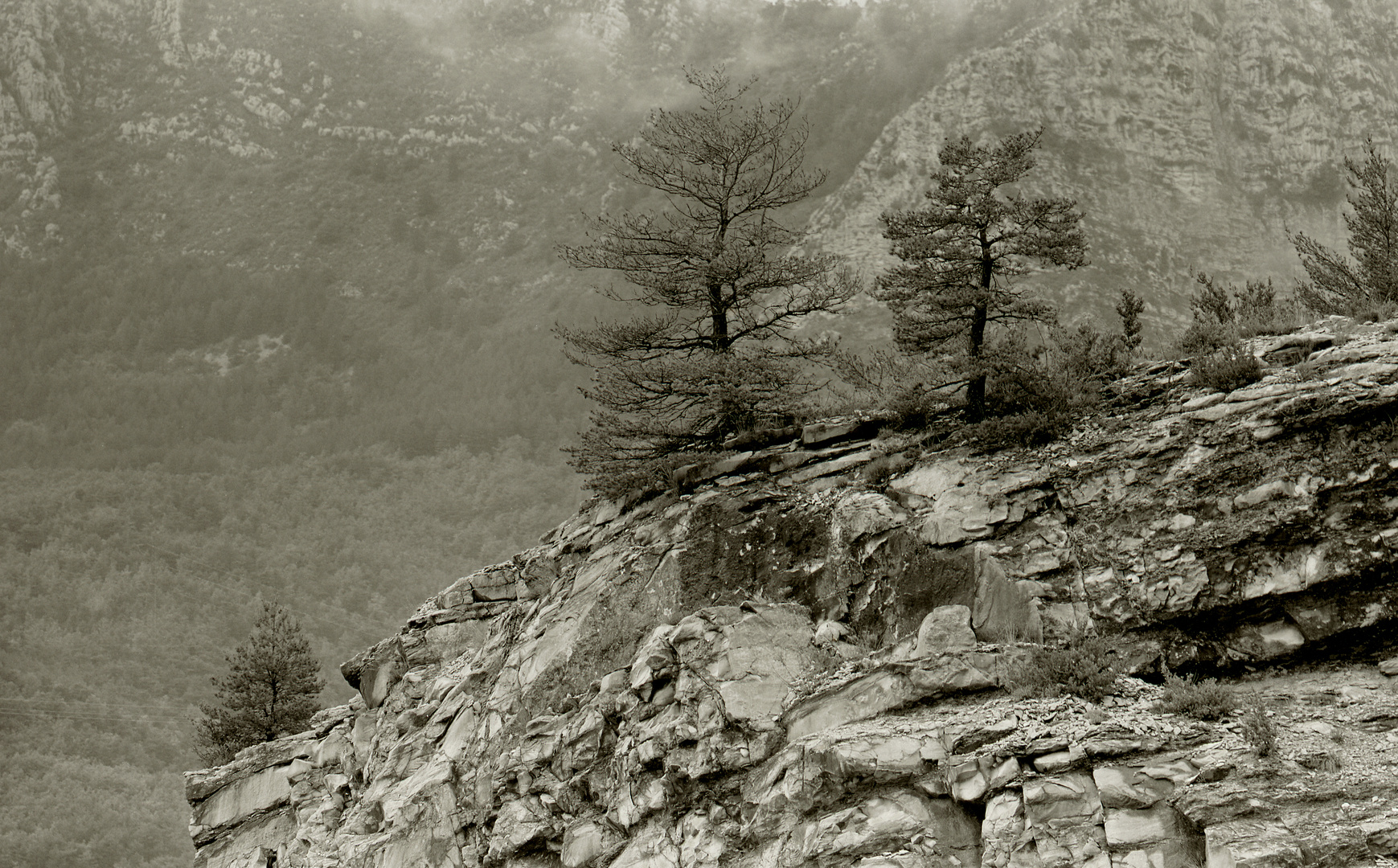 -F- Gorges du Verdon -1-