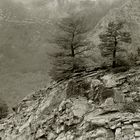 -F- Gorges du Verdon -1-