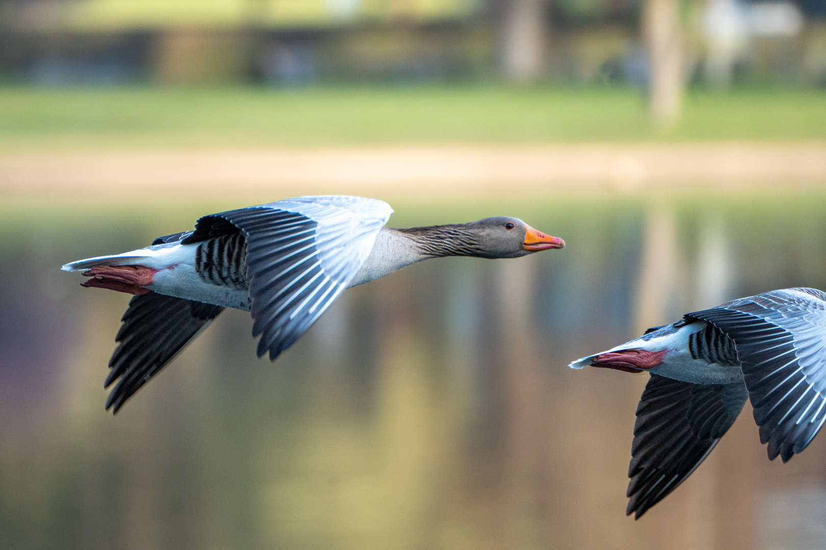 F L U G . I N . D E N . M O R G E N