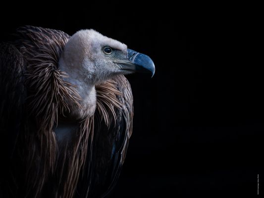 f r e i . n a c h . Y A M A D O R I 1 2 