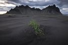 ...Stokksnes [ II ] von MatthiasW.