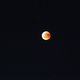 Blutmond ber Laichingen / Schwbische Alb