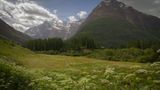 Prairie en Haute Maurienne. de Natureetmoi