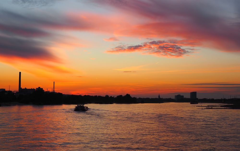 Sonnenuntergang am Rhein von steffi.ras