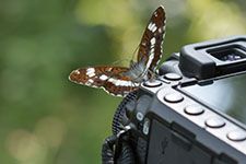 Flora und Fauna durch den Sucher