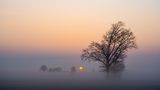 Sonnenaufgang im Ried von Manne Herrmann